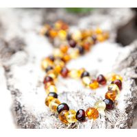 Baltic Amber Adult Necklace - Mixed